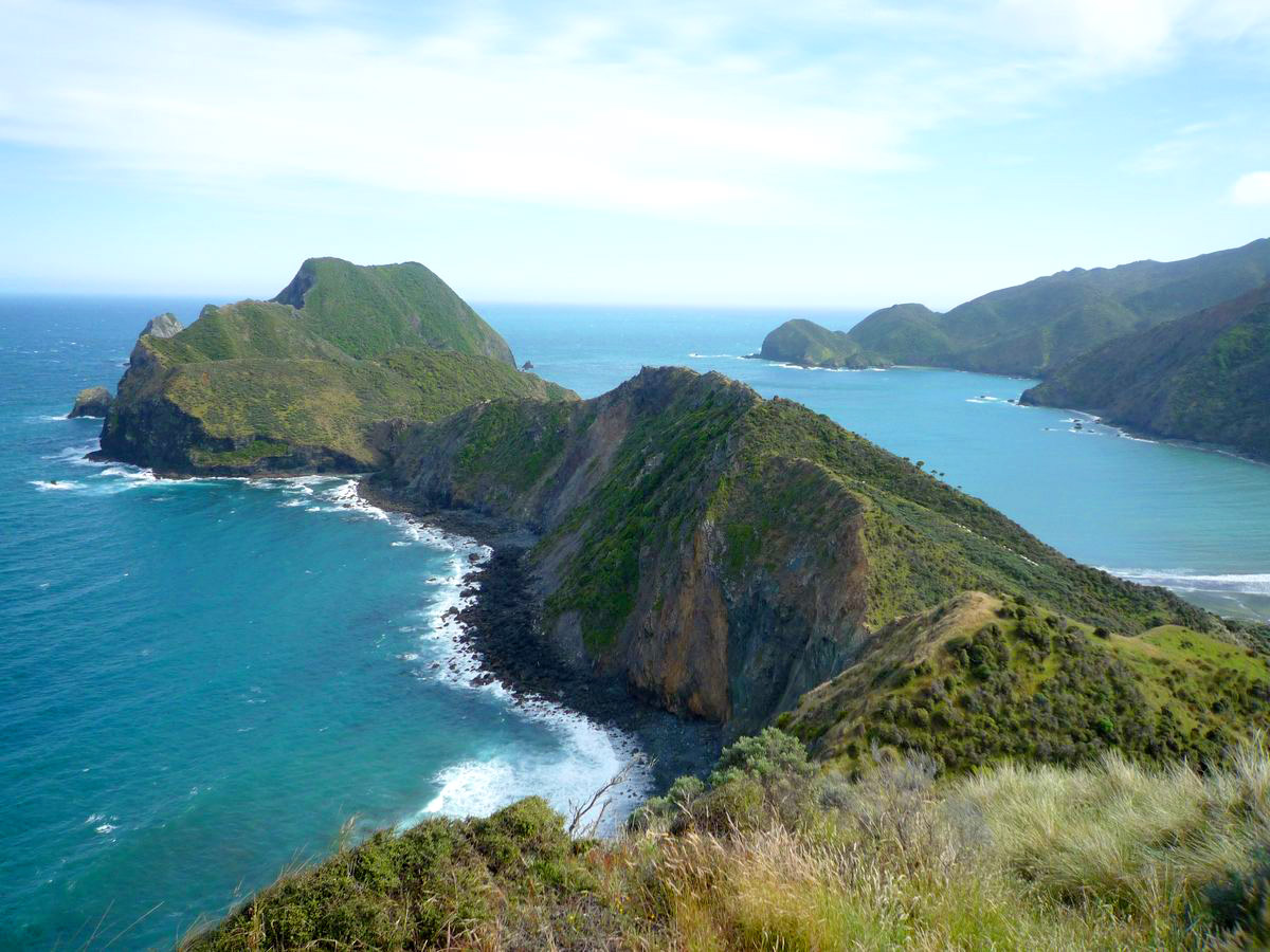 D’Urville Charity Cruise Update: This Weekend