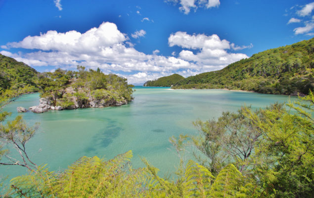 Bark Bay to Awaroa