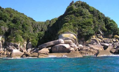 Tonga Island Marine Reserve